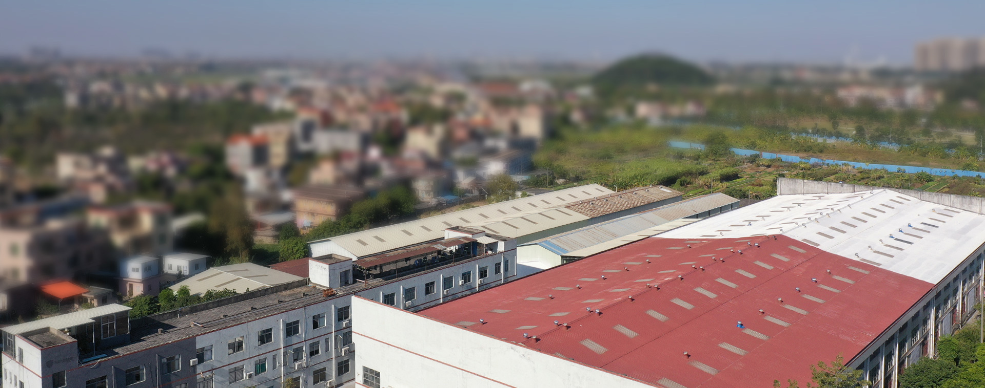 关于沁林