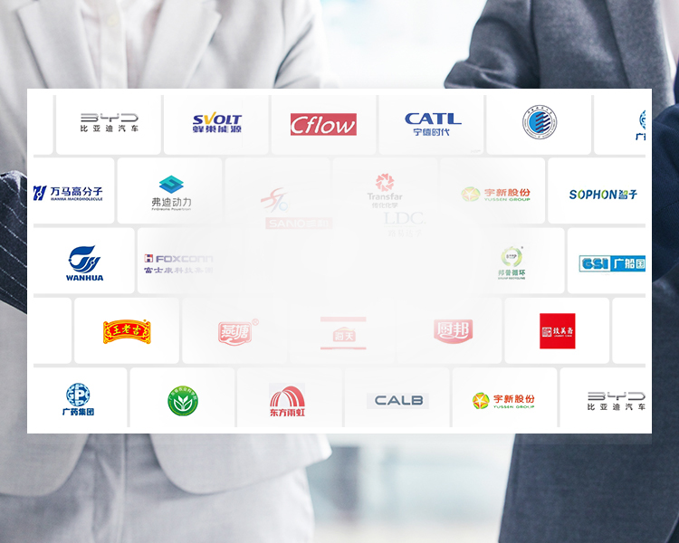 Leading Position in the industry